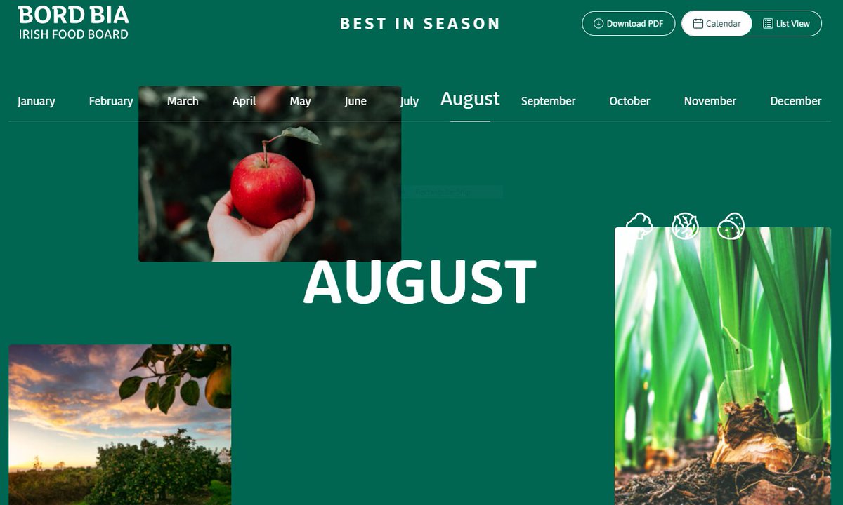 Planning the weekly shop? Looking for some ingredients inspiration? @Bordbia have an amazing resource to help you choose fresh and seasonal fruit and veg options. So many delicious options in season in August; new potatoes, scallions, courgettes, peas, beetroots, raspberries..
