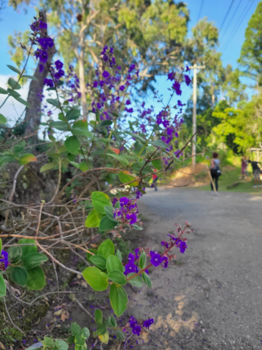 djmillerJA's tweet image. #TuesdayScenes 
@jahmekyagyal 
#Hiking #HikingLife