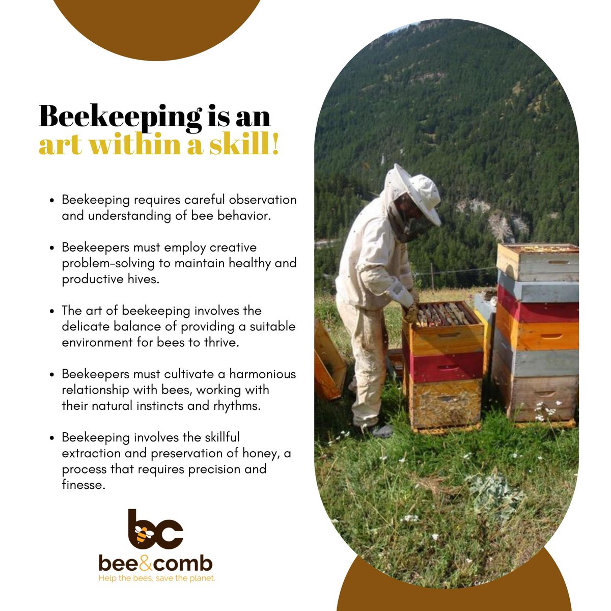 KarenAvetisyan2's tweet image. Beekeeping, an intricate art form, combines careful observation, problem-solving, and a harmonious connection with bees to create a thriving and productive apiary. 

Make your garden the best place for bees.
beekeepingservices.com
.
#BeekeepingArt #BeeBehavior