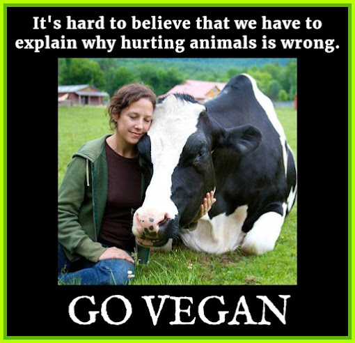 Its hard to believe that we have to explain why hurting animals is wrong. Go Vegan. Created by <a href="/VeganPoet/">Animal Rights Vegan Ⓥ</a> #vegan #animal rights