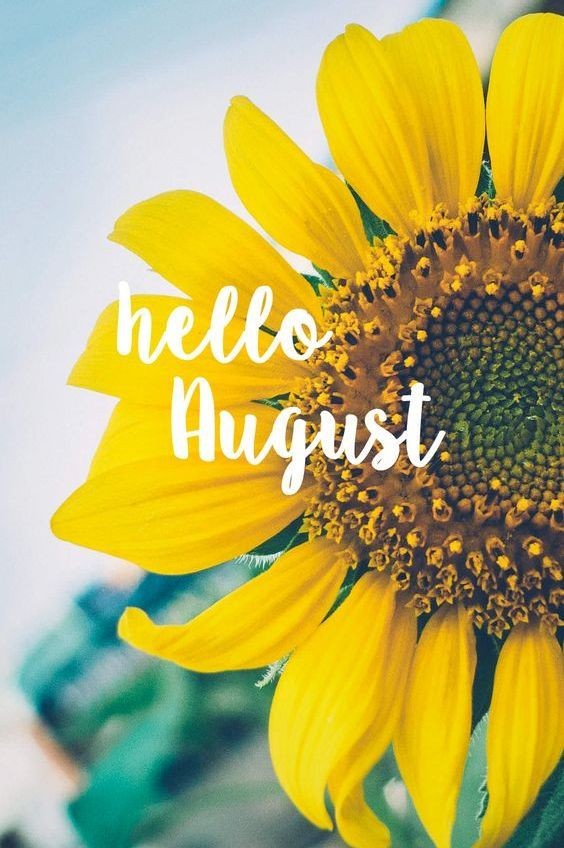 BreeBillie's tweet photo. Happy new month twi... X fam! Let's make this month one of growth,  progress and positive vibes! 💪🏾 
#August2023 #NewMonthVibes https://t.co/H9AE3czGs5