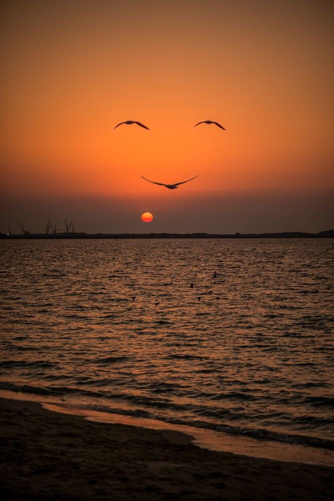 Good evening ✨✨✨✨🧡