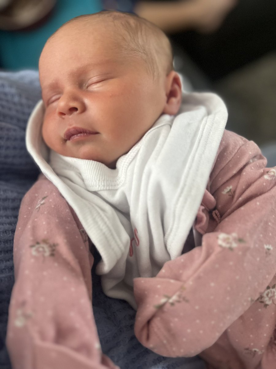 𝐾𝑎𝑦 𝐻𝑎𝑟𝑟𝑖𝑠𝑜𝑛☁️ tweet media