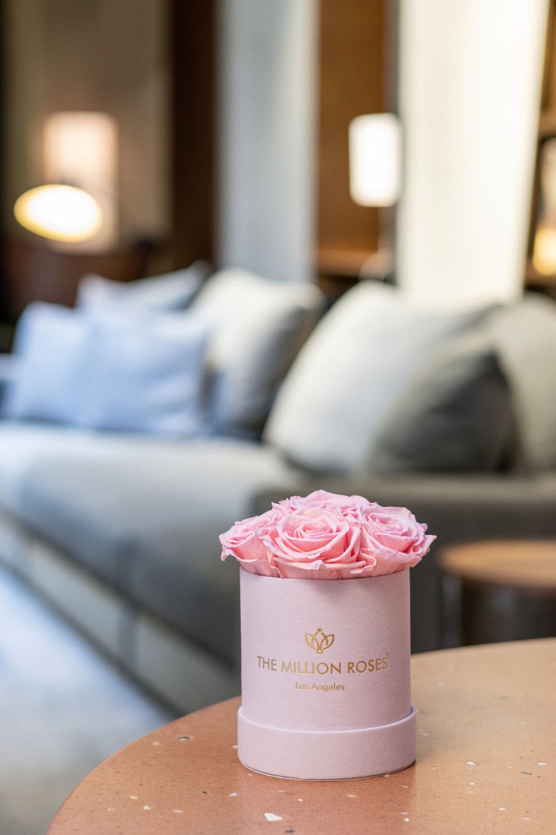 The Million Roses tweet media