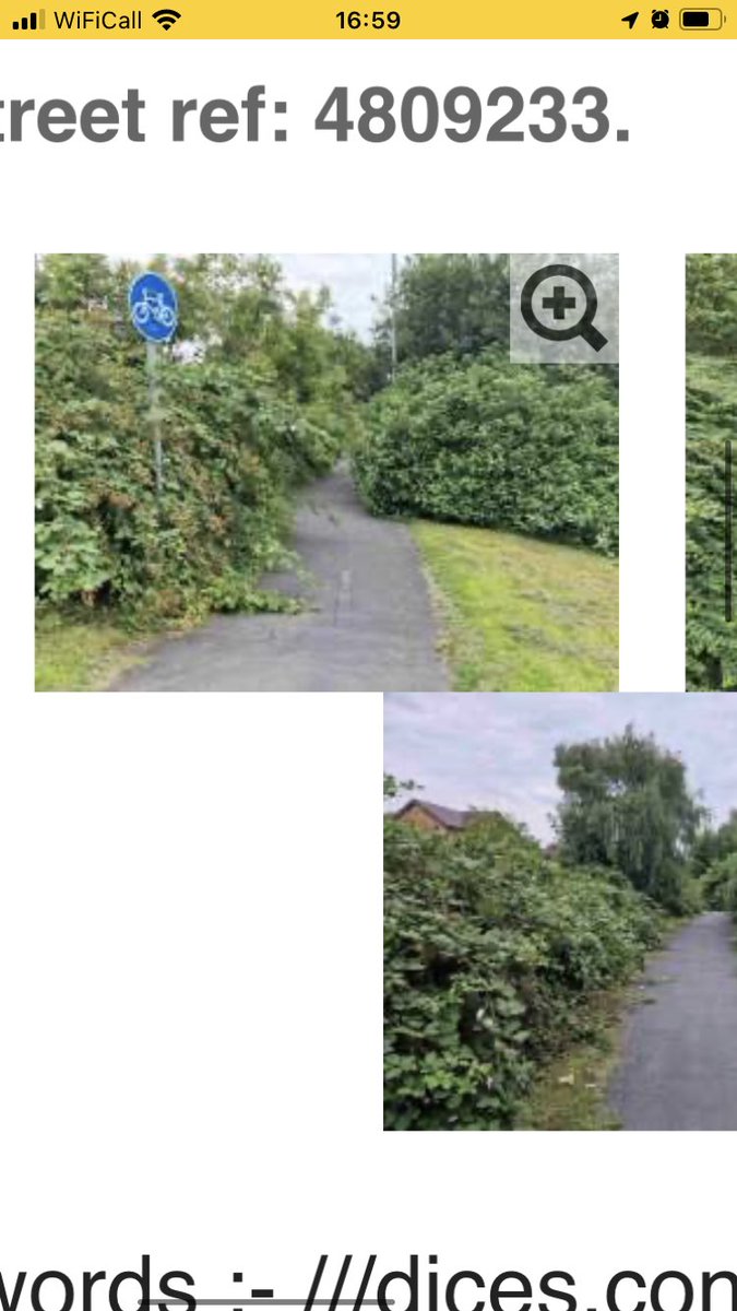 stewart maher tweet media