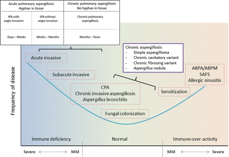 Clinical spectrum of aspergillosis in patients with different immune status (SAFS = severe asthma with fungal sensitization) doi.org/10.1007/s11046…