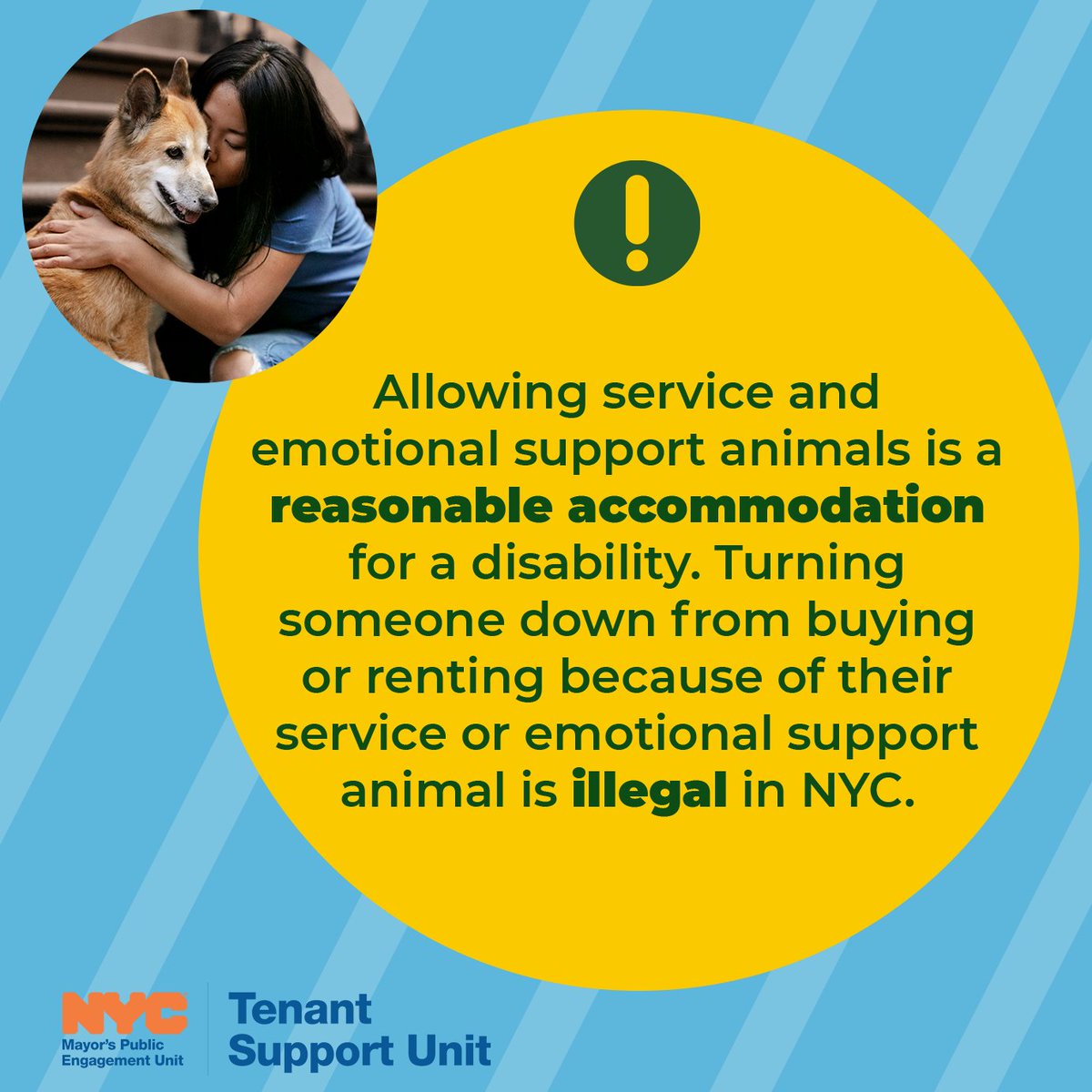NYC Mayor's Public Engagement Unit (@mayorspeu) on Twitter photo #TenantRightsTuesdays #DisabilityPrideMonth may be over, but disability discrimination is illegal all year.
If you experience discrimination regarding your service or emotional support animal, contact <a href="/NYCCHR/">NYC Human Rights</a> for support. Call 311 and say "Human Rights."
#KnowYourRights #TenantRightsTuesdays #DisabilityPrideMonth may be over, but disability discrimination is illegal all year.
If you experience discrimination regarding your service or emotional support animal, contact <a href="/NYCCHR/">NYC Human Rights</a> for support. Call 311 and say "Human Rights."
#KnowYourRights