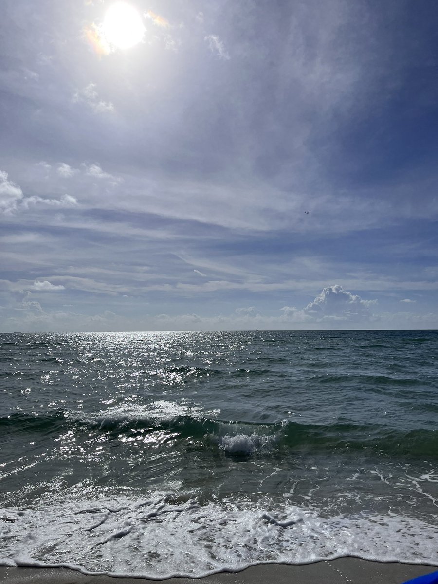 IseldaT's tweet photo. Miami Beach https://t.co/t8PJMa50lQ