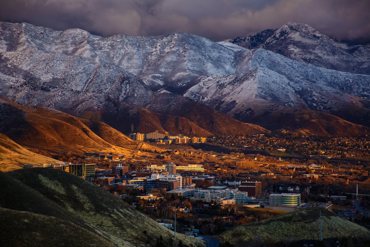 Jason Shepherd tweet media