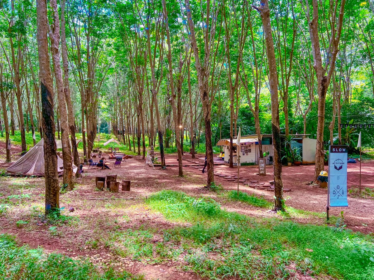 Haven't been out camping in a while LOL