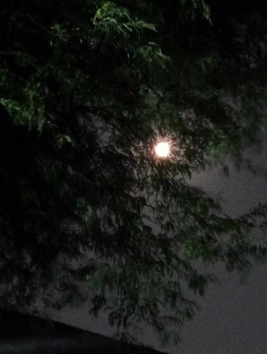 Koen Wiryawan (@koenwiryawan) on Twitter photo 