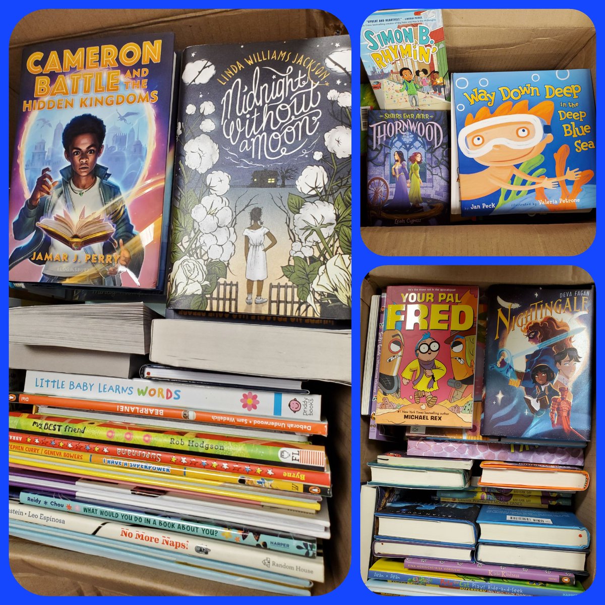 Anderson Mill Elementary Library tweet media