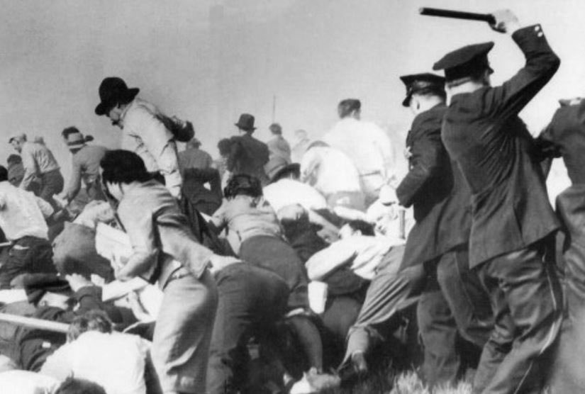 Jeffrey Janusch tweet media