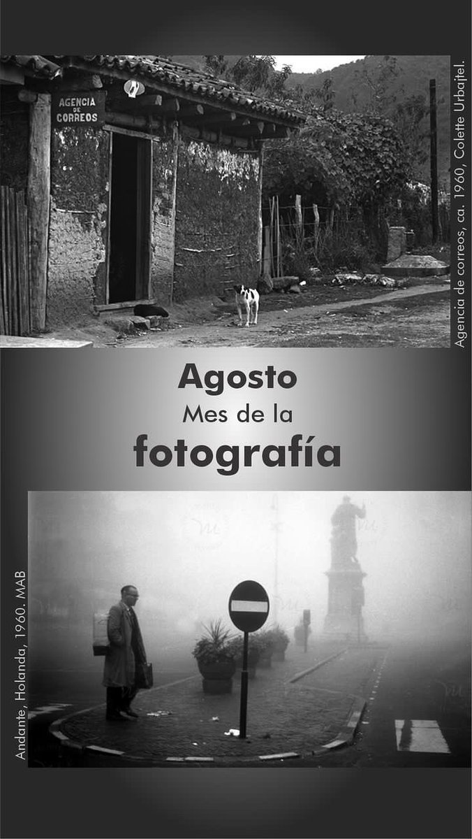 Agosto mes de la fotografía 
#FelizInicioDeMes #FelizMartes 
#Agosto2023 #Foto #photograghy