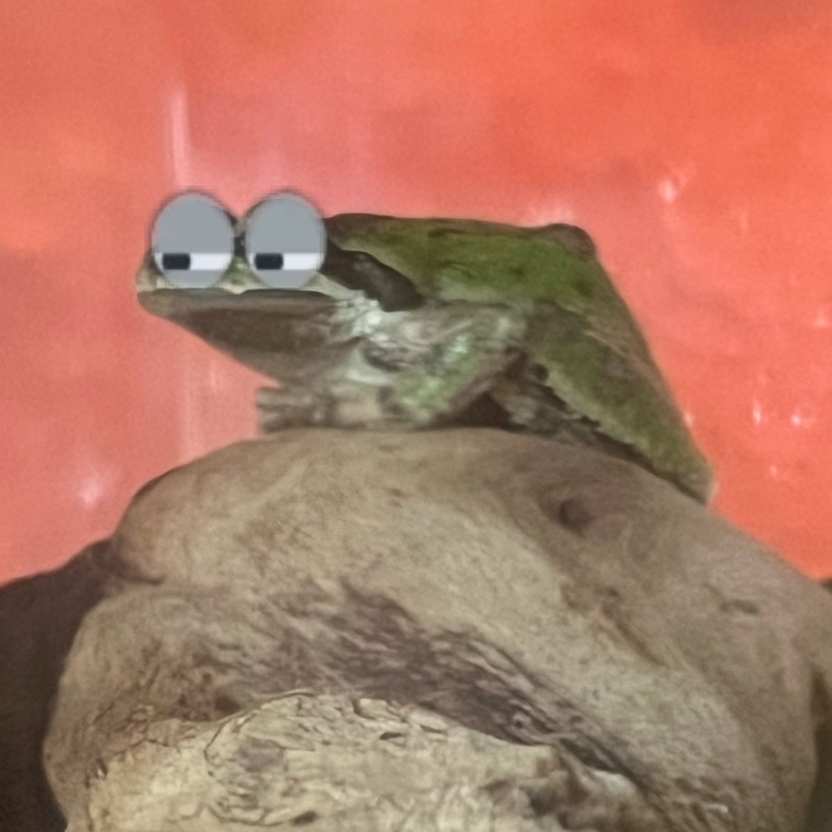 scunt420's tweet photo. twitter automatically updating even though i have automatic updates turned off got me like https://t.co/boJAiFSRxn