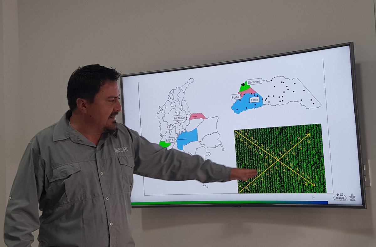 WJCuellar's tweet photo. Hoy @BiovIntCIAT_esp socializando el Proyecto #YucaPais, fase II, con colaboradores de #AgroLlanos en Granada, Meta. Organizando grupos de trabajo con Don Elias Rico para validar la re-emergencia e incidencia de Cuero de Sapo (#frogskindisease) en esta región

@JMPardo86 @jejipo https://t.co/bxp1fReyAX