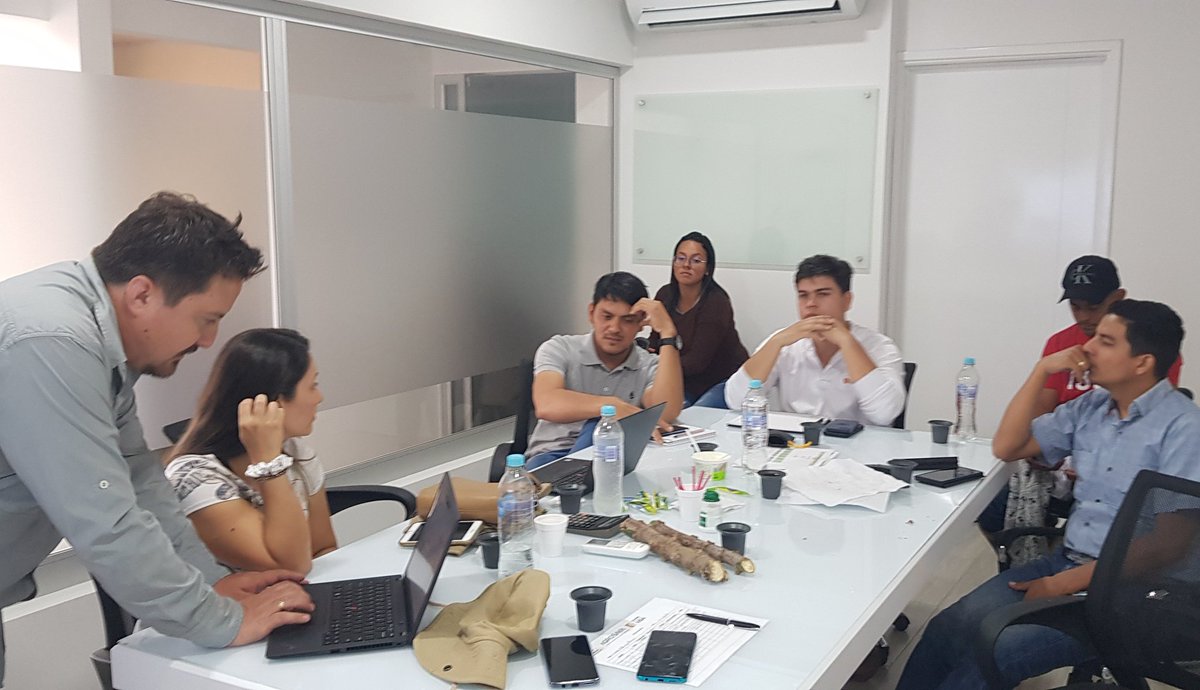 WJCuellar's tweet photo. Hoy @BiovIntCIAT_esp socializando el Proyecto #YucaPais, fase II, con colaboradores de #AgroLlanos en Granada, Meta. Organizando grupos de trabajo con Don Elias Rico para validar la re-emergencia e incidencia de Cuero de Sapo (#frogskindisease) en esta región

@JMPardo86 @jejipo https://t.co/bxp1fReyAX