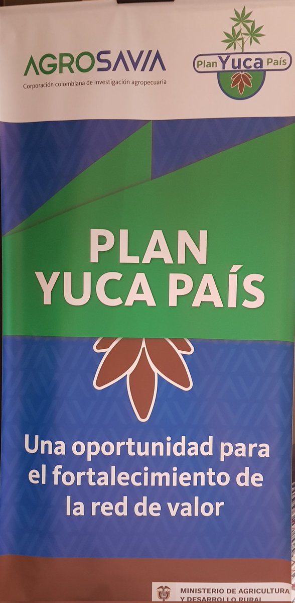 WJCuellar's tweet photo. Hoy @BiovIntCIAT_esp socializando el Proyecto #YucaPais, fase II, con colaboradores de #AgroLlanos en Granada, Meta. Organizando grupos de trabajo con Don Elias Rico para validar la re-emergencia e incidencia de Cuero de Sapo (#frogskindisease) en esta región

@JMPardo86 @jejipo https://t.co/bxp1fReyAX