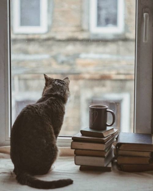 nildaglez21's tweet photo. #CoffeeLoverTime ☕

Una despedida 
   Sin adiós...

    ¡LiNdA TaRdE a ToDoS! https://t.co/n0khn7tAV0