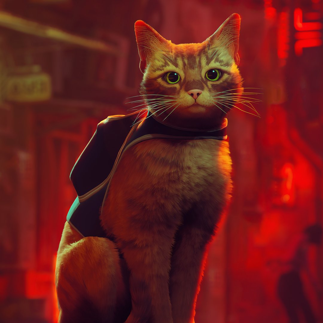STRAY (@HKdevblog) / Posts / X