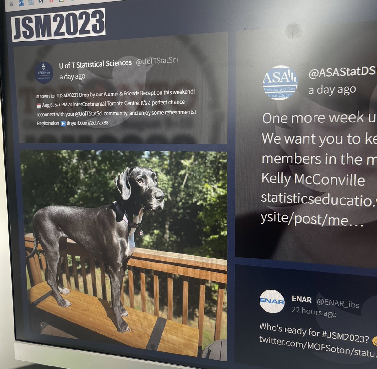 AmyFarrisASA's tweet photo. Testing our Twitter wall and am so grateful for the use of the #jsm2023 hashtag in this beautiful doggie’s post https://t.co/oFhuQELZFr