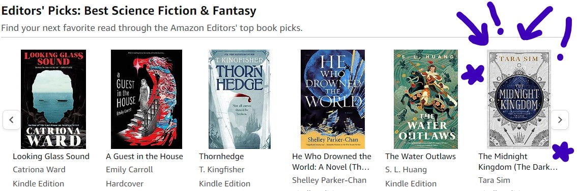 UHHHH THE MIDNIGHT KINGDOM is an Amazon Editors' Pick for August???? Hello????????