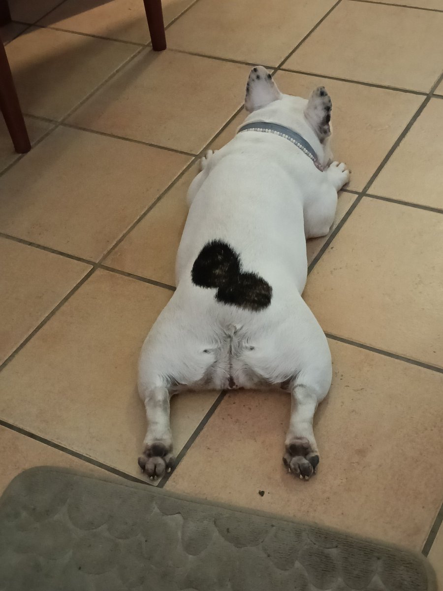 kramming59's tweet photo. In cerca di freschezza 😂🥵🥶 https://t.co/XwESOWpbQg