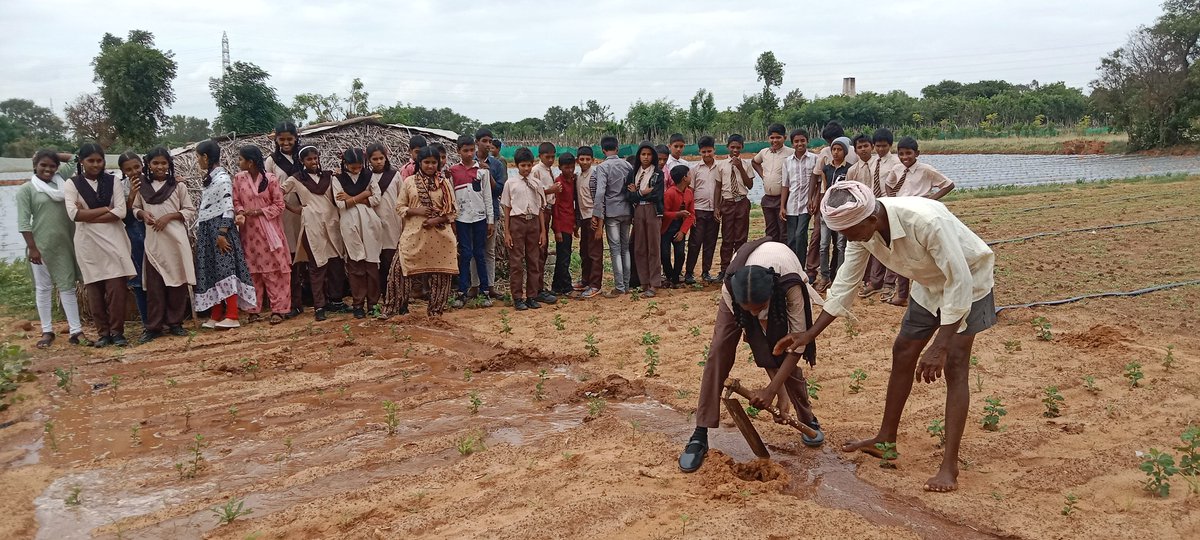 MMDRSKolar's tweet photo. @depcomkolar @DOMGOK Live Demonstration of agricultural practices from a former 🌱🌱🌱🌱 https://t.co/XzegiVNamR
