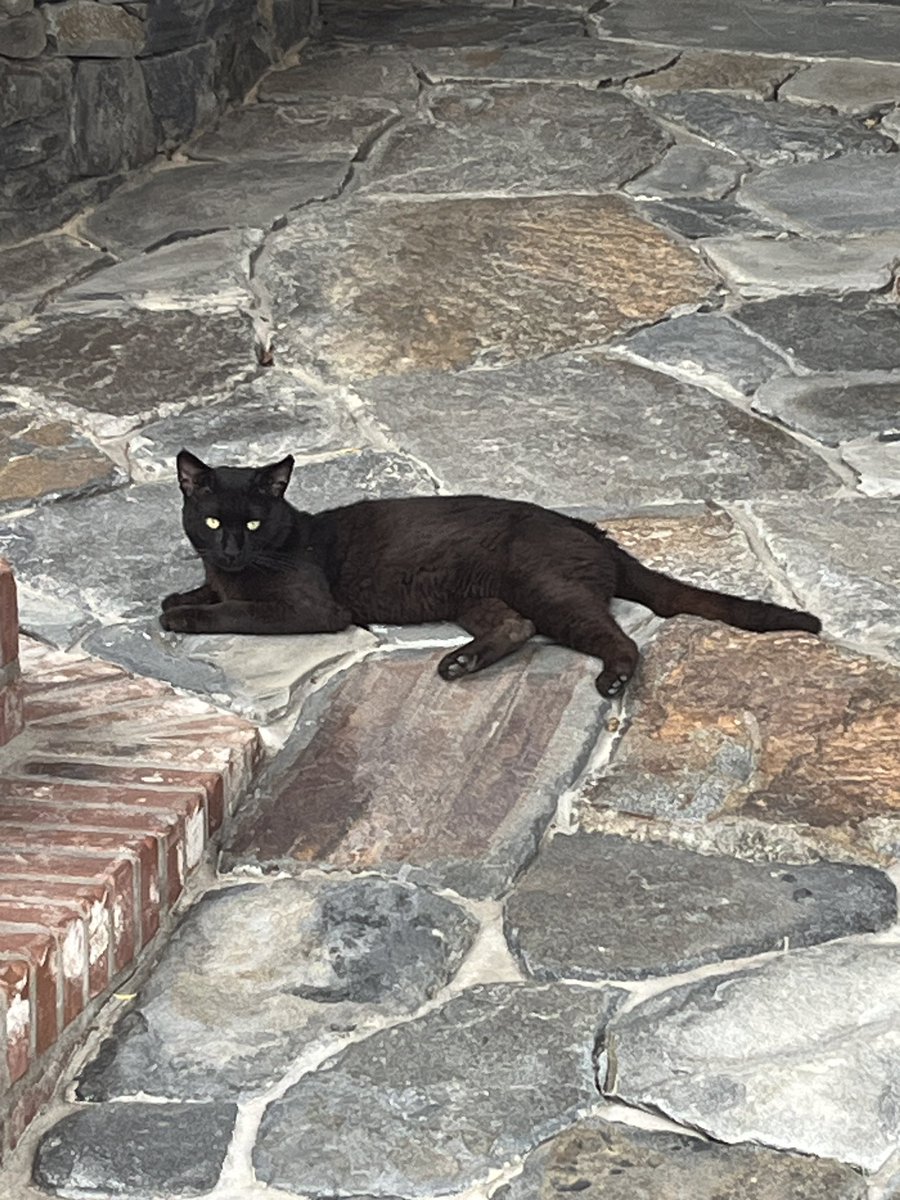 jungwoowon / 宇王 tweet media