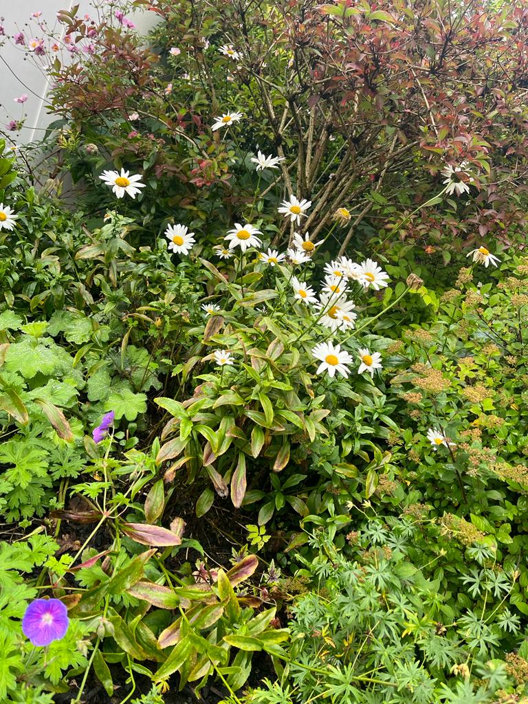 MidCheshireCRP tweet media