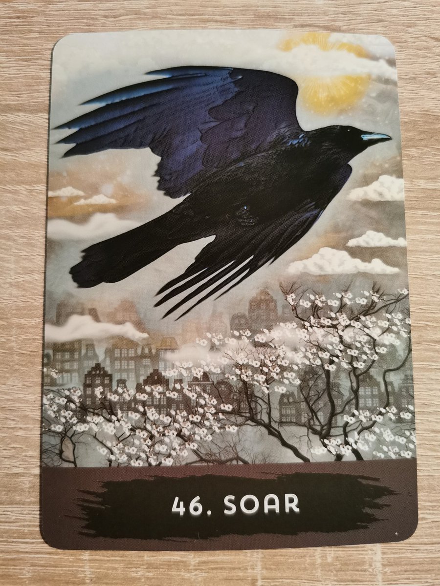 1111Georgia1080's tweet photo. Full Moon Message
There are no obstacles in your way, now is the time to move. Be couragious and take action. You will receive the information you need to progress toward your goal. Have the confidence to fly✨
Urban Crow Oracle by MJ Cullinane
#fullmoon #fullmoonmessage https://t.co/ky0n2wuNmQ