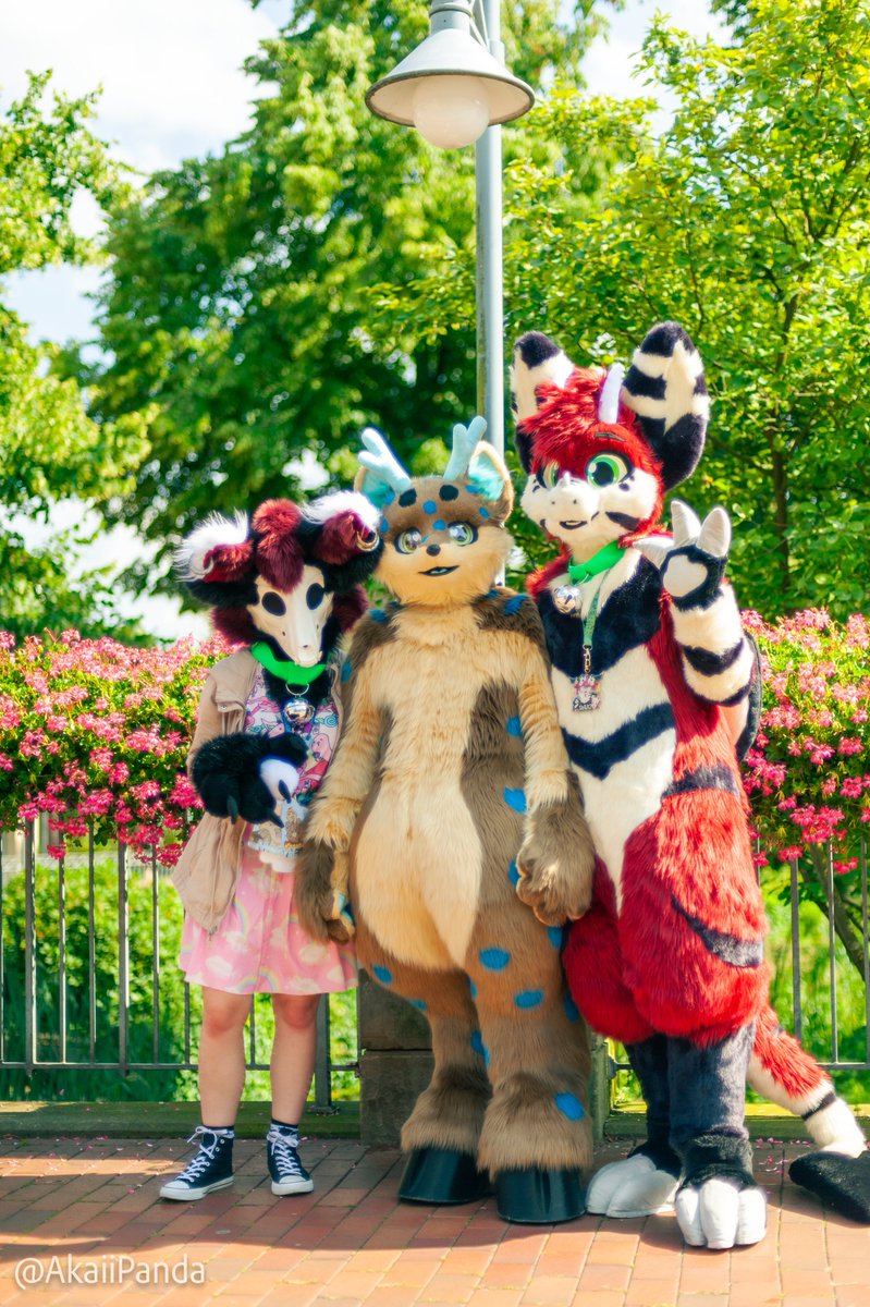 This Weekend was Really Fun 🥰 Finally Fursuited with @Naki_Jace, Mochi and other Awesome Friends 💕

📷@AkaiiPanda