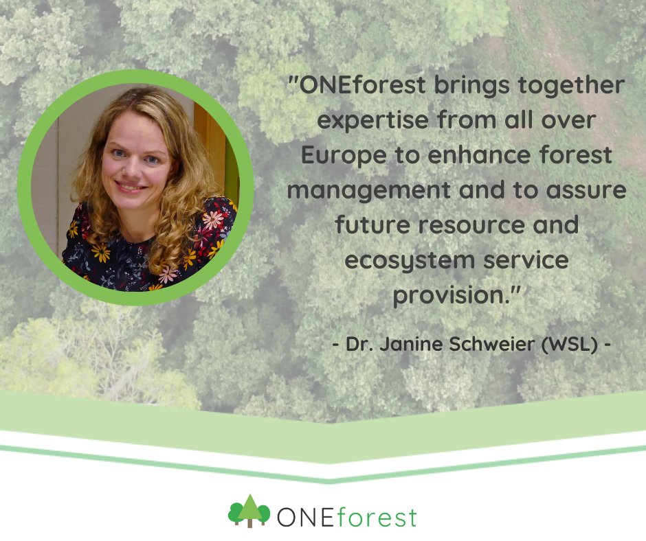 Oneforest_H2020's tweet photo. ๐ฒ๐ณ๐Bringing together European expertise to enhance #forestmanagement and ensure a sustainable future for natural resources and ecosystem services.
#H2020 #ONEforestfacts #ONEforestTeam https://t.co/R7A3JGgHJA