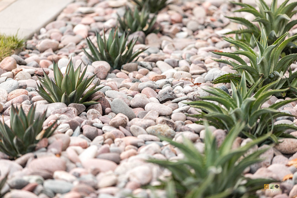 westerndesigns's tweet photo. #SanDiego #OrangeCounty #LandscapeArchitect #OutdoorLiving #Backyard #LandscapeDesigner #Remodel #Hardscape #Belgard #OutdoorKitchen #PorcelainPavers #PaverDriveway #PoolRemodel #love #instagood 

https://t.co/BZXen48hUi https://t.co/YqNBTbmRzu