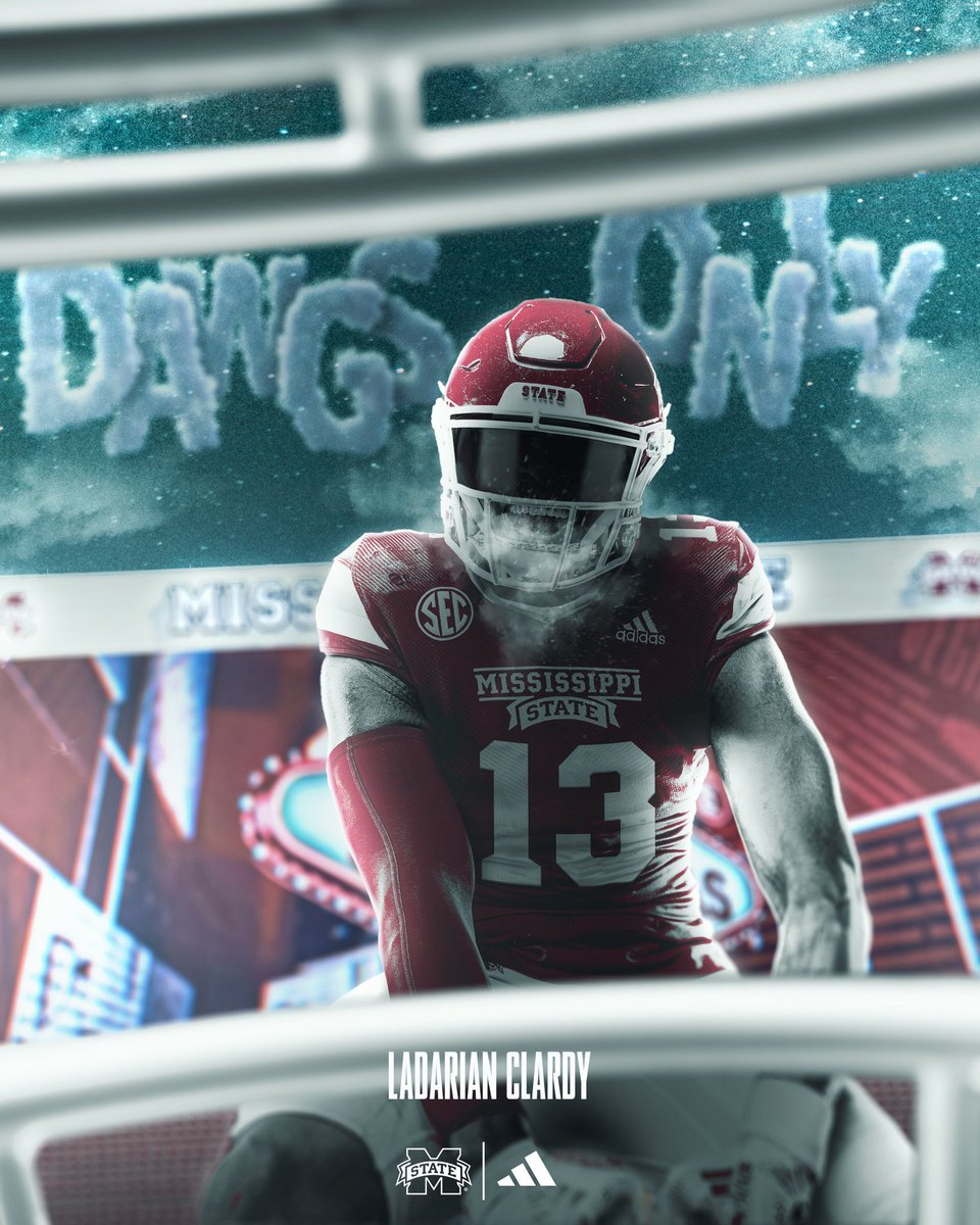 🐶 🐶 <a href="/HailStateFB/">Mississippi State Football</a>