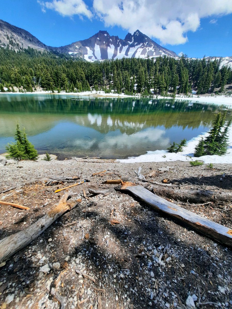 Deschutes National Forest tweet media