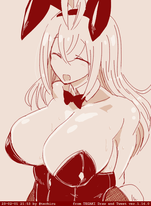 第一バニーの日ですね 