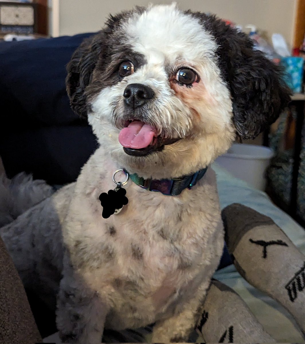 Mom finally got a tongue out Tuesday pic!