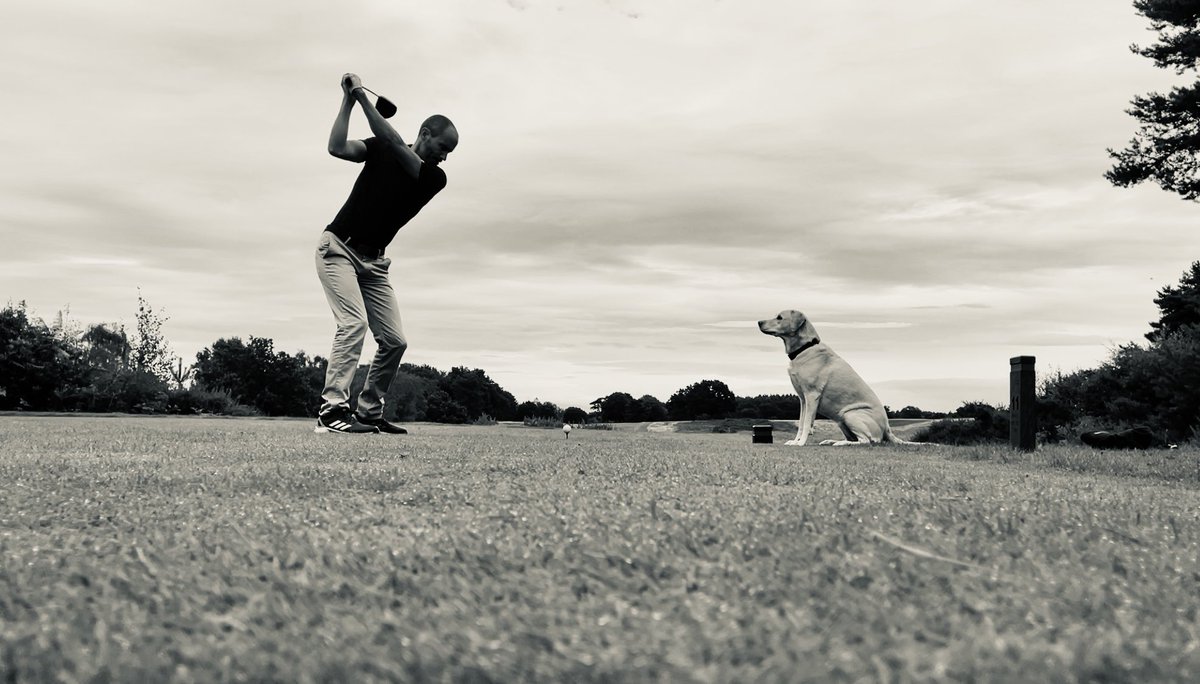 Andrew Cotter tweet media