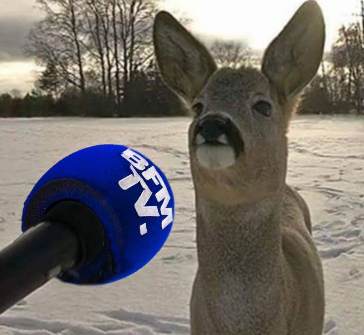Nini_MacBright's tweet photo. - On avait choisi la Somme pour éviter la canicule, mais des giboulées de neige, on n’était pas prêts https://t.co/l7tjqgkZV4