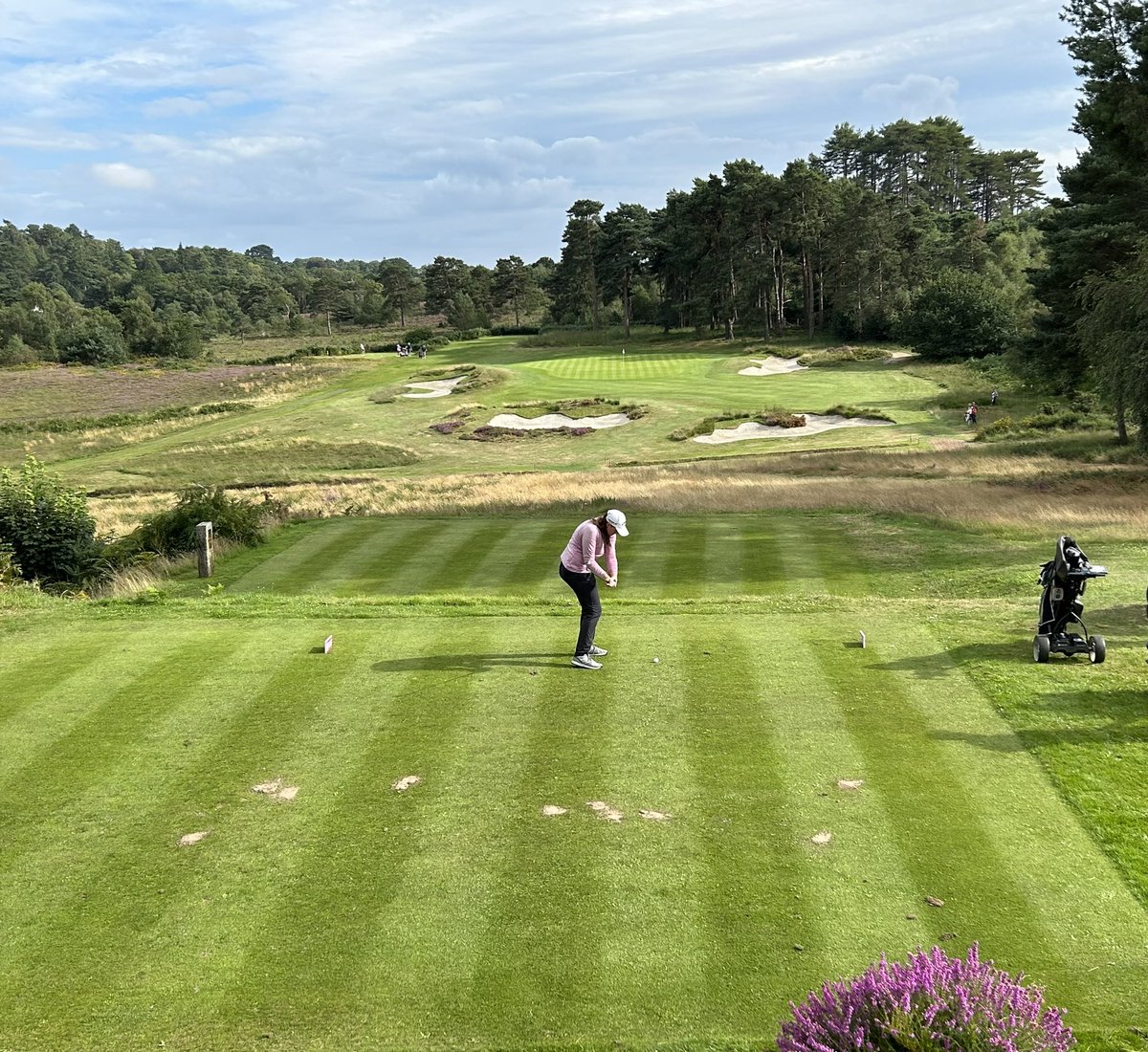 broadstonegc's tweet photo. The 15th looking π₯ β³οΈ
#broadstone #EngAm
@EnglandGolf https://t.co/muEZClMnNT
