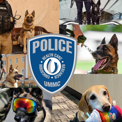 UMMCPolice's tweet photo. We are on the prowl for a skilled officer to become the ultimate "paw-tner" as our new Explosives K9 Handler! 🐶💣💪Sniff out this exciting opportunity at https://t.co/ribAtyBvaj     

 #JoinThePawlice #PawsomeJobOpportunity https://t.co/N2ZiB2fYHM