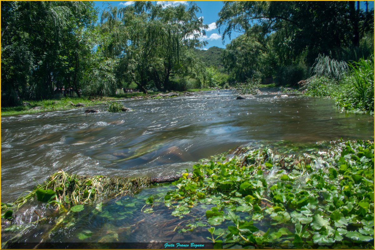 GretaFB's tweet photo. #Naturaleza #Nature #Natural #photography #Photos #Photographs #environment #Medioambiente #fineart #calamuchita #Landscape #Scenery #Paisajes #cordobaargentina #riosantarosa #sierrasdecordoba #river #rio #green #verde #beautiful #efectoseda #arboles #trees #reel #sauce https://t.co/VvOoV8kC55