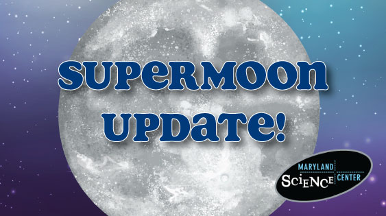 MDScienceCenter's tweet photo. August's first full moon is called the "Sturgeon Moon" because sturgeon were most readily
caught during this part of summer in the Great Lakes.
Tonight's supermoon occurs when the Moon's orbit is closest to Earth at the same time the moon is full.
#LetsScience https://t.co/cAiGYpQbU3