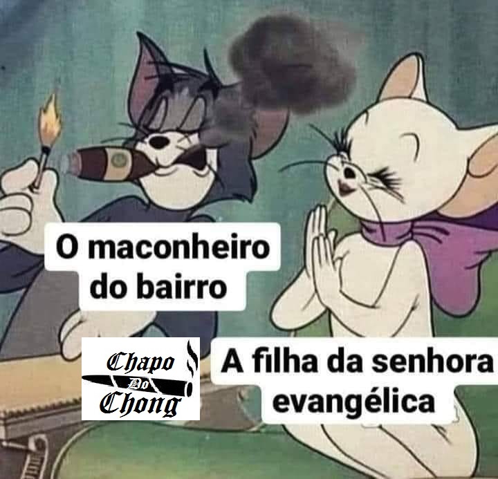 Chapo Do Chong (@chapodochong) on Twitter photo 