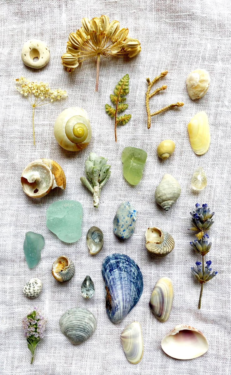 Sometimes I’m working so hard on keeping my brain away from dark places that I don’t have thoughts left to post here. I went to the seaside last w/e though, for the calming effects of the big water &amp; it definitely helped. A few of my finds, in case you’re longing for the shore: