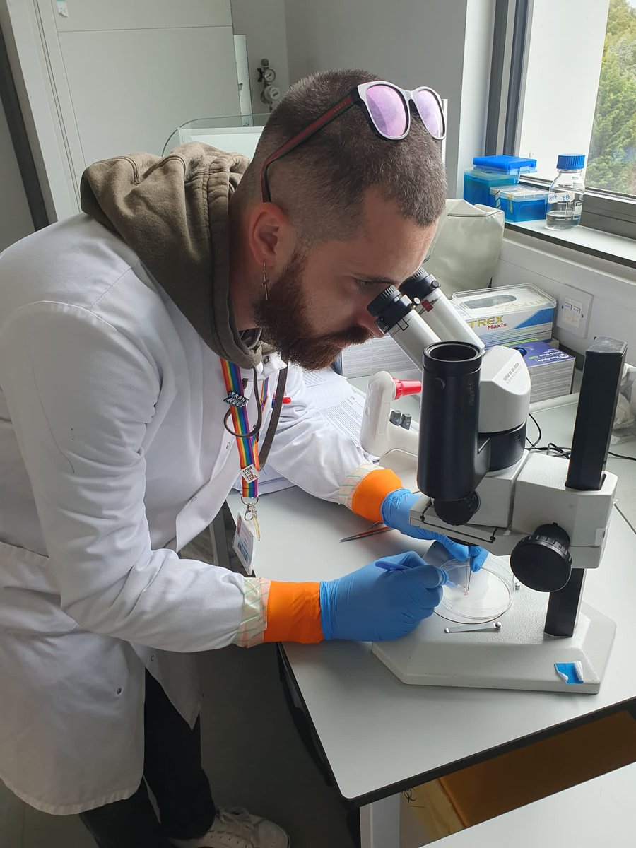 Dario Balacco, PhD 🇮🇹🇬🇧🏳️‍🌈 tweet media