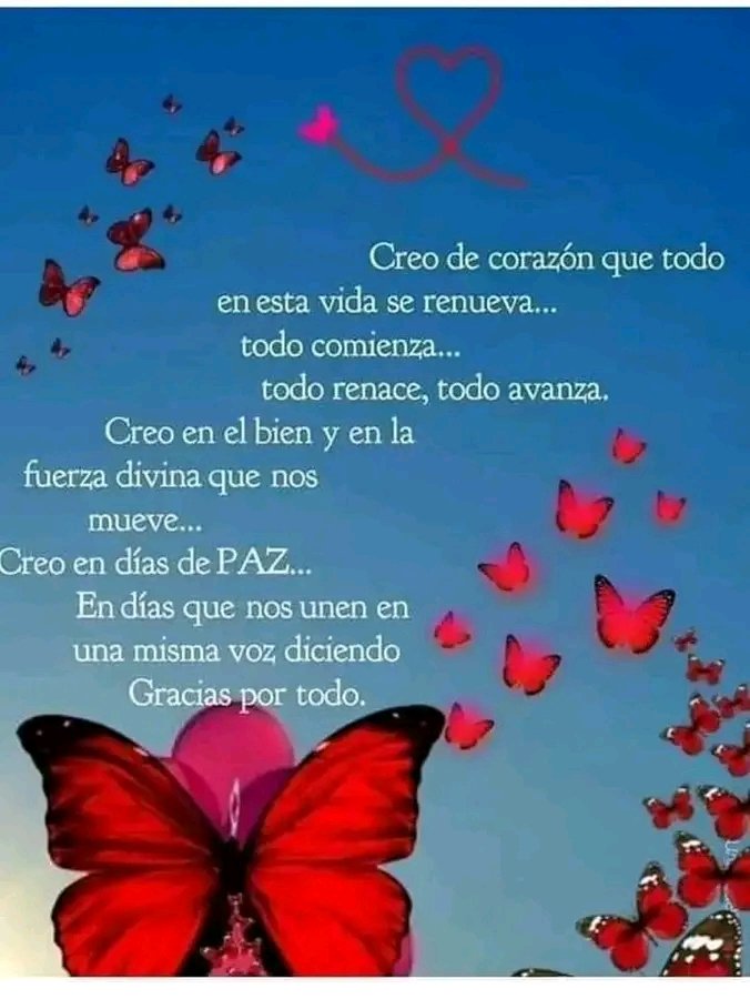 CelsaAlcantar28's tweet photo. https://t.co/Vo9HOxKCXi