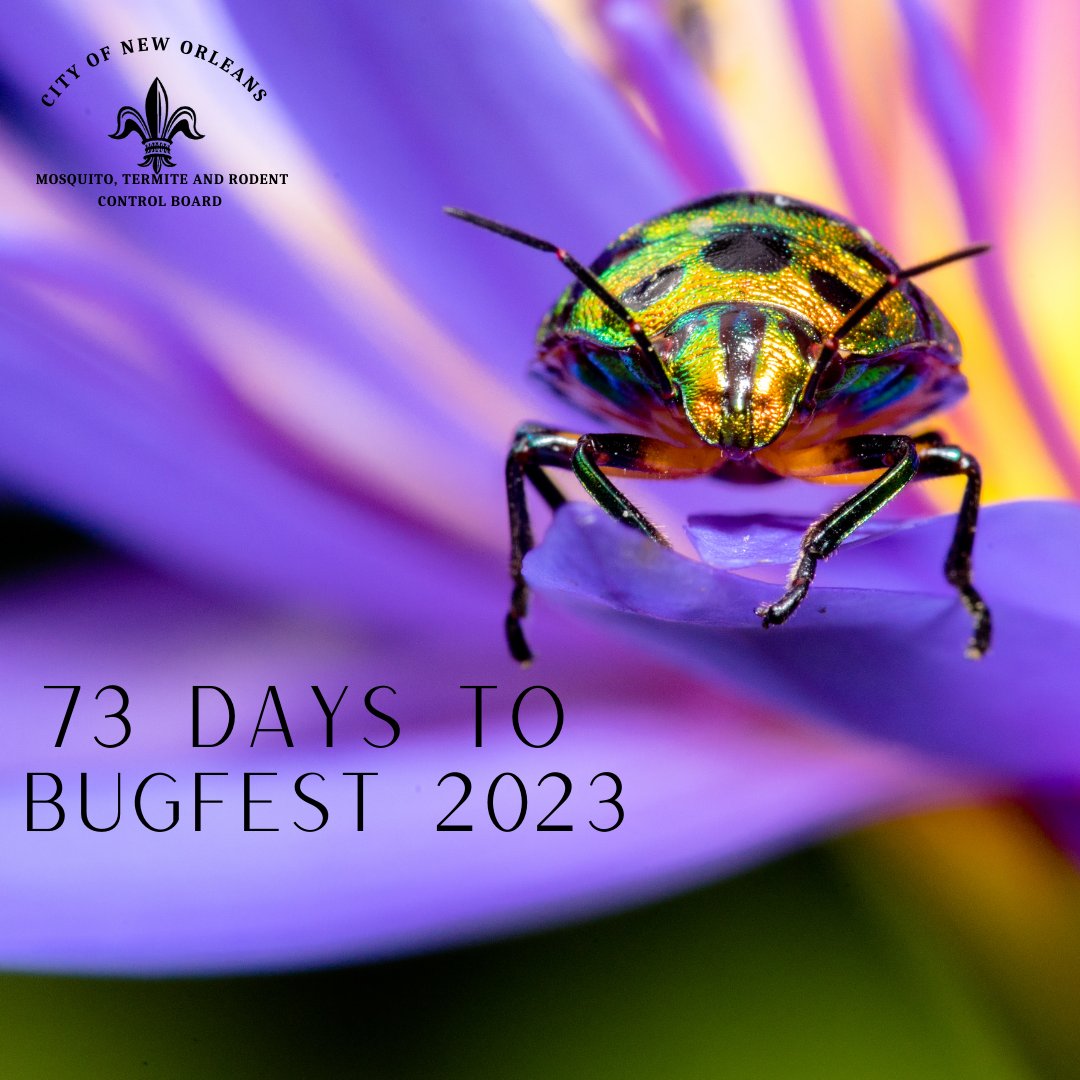 NolaMosquito's tweet image. NOMTRCB is hosting BugFest on October 14, 2023.  NOLA BugFest will have a full day of fun and entertainment for all ages.  At this free event,  you will have the opportunity to learn about insects and wildlife found in the New Orleans area.  For more info  nola.gov/mosquito
