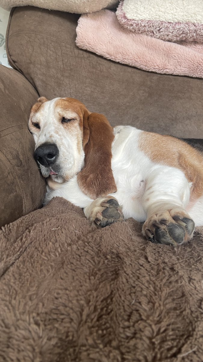 Phil Sledge tweet media